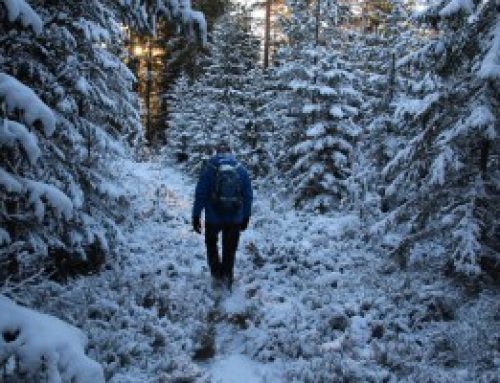 Sneeuwwandeling in Zweeds Värmland